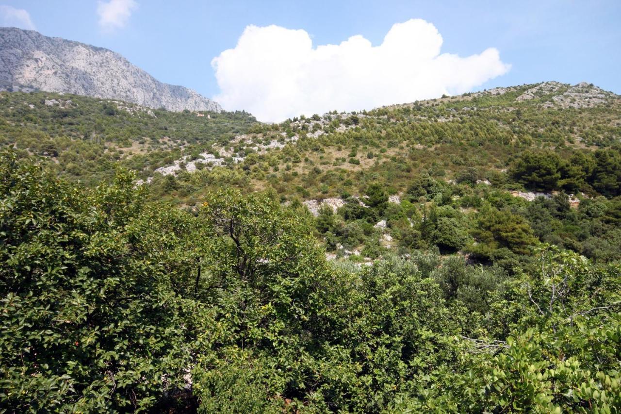 Apartments By The Sea Drvenik Donja Vala, Makarska - 6701 Ngoại thất bức ảnh